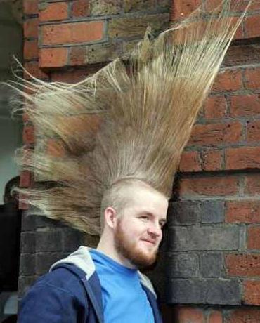 Funny Picture - Nice Mohawk!